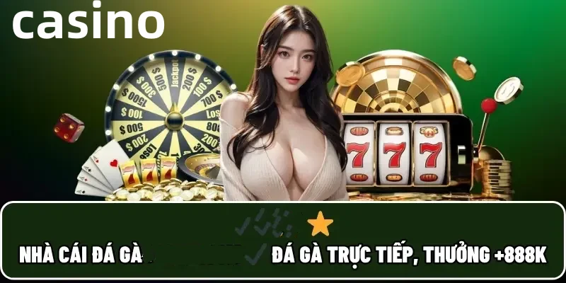 win55